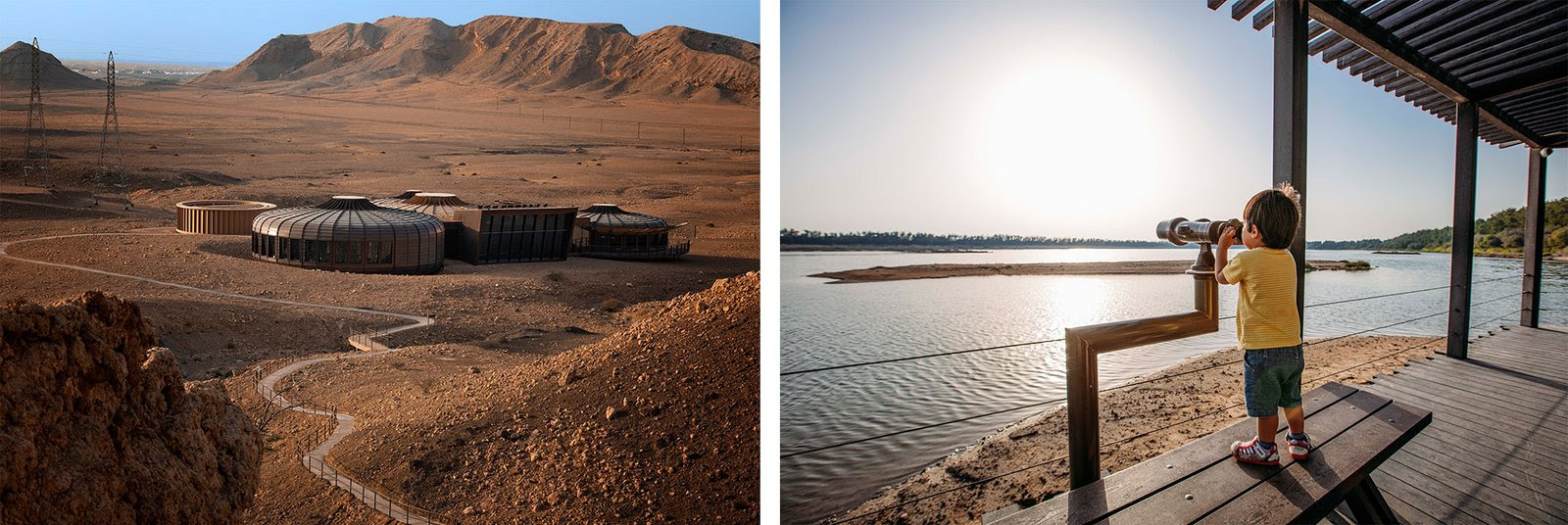 Discover Sharjah’s Wild Side: A Haven for Nature and Wildlife Enthusiasts
